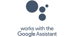 Google Assistant